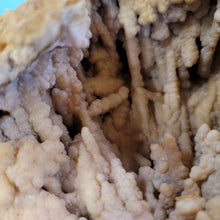 Load image into Gallery viewer, Agatized coral