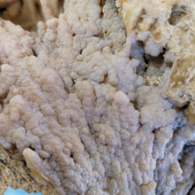 Load image into Gallery viewer, Agatized coral