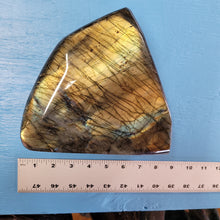 Load image into Gallery viewer, Rare - 7.39lb Natural Labradorite - Entire Front is a Flash!