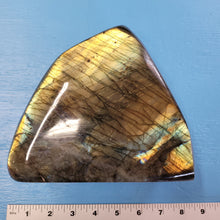 Load image into Gallery viewer, Rare - 7.39lb Natural Labradorite - Entire Front is a Flash!