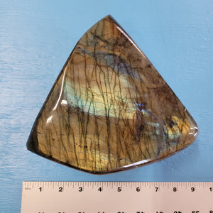 Rare - 7.39lb Natural Labradorite - Entire Front is a Flash!