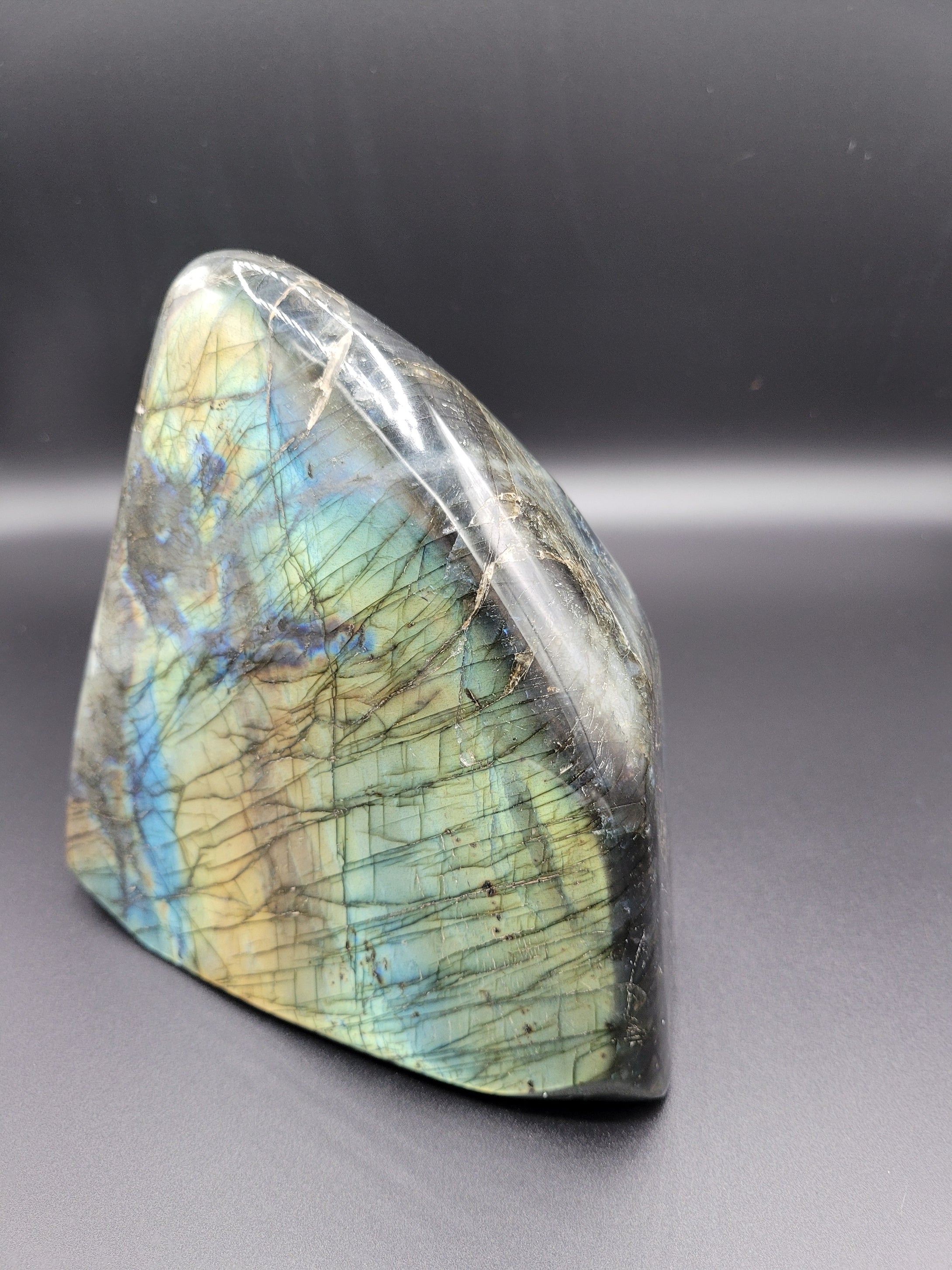 Rare - 7.39lb Natural Labradorite - Entire Front is a Flash!