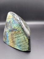 Rare - 7.39lb Natural Labradorite - Entire Front is a Flash!