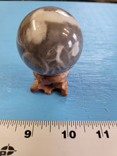 Load image into Gallery viewer, Natural Black and White Shell Fossil Stone Crystal Healing Sphere 180 g