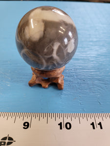 Natural Black and White Shell Fossil Stone Crystal Healing Sphere 180 g