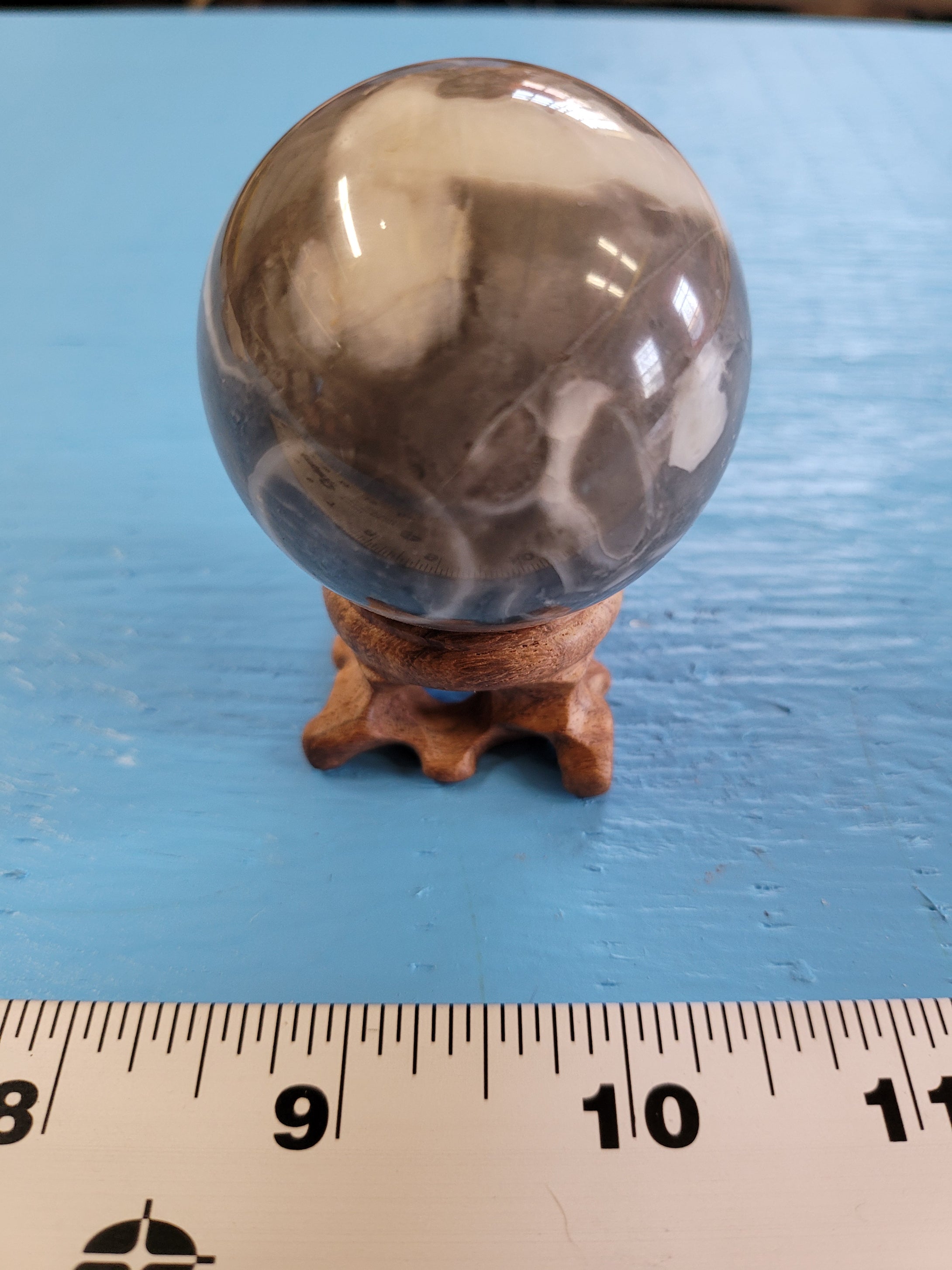 Natural Black and White Shell Fossil Stone Crystal Healing Sphere 180 g