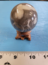 Load image into Gallery viewer, Natural Black and White Shell Fossil Stone Crystal Healing Sphere 180 g