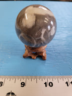 Natural Black and White Shell Fossil Stone Crystal Healing Sphere 180 g