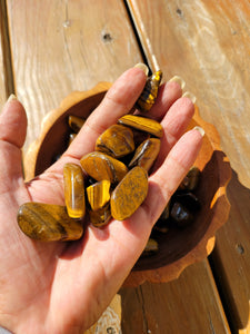 Tumbled Tiger's Eye Stones